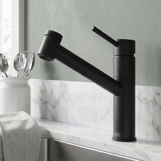 Branson Pull-Out Kitchen Faucet