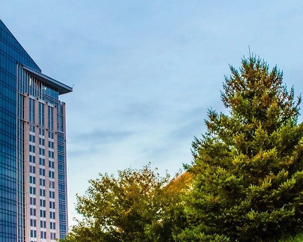 Four Diamonds, One Custom Door: VIGO at The Tower at Turning Stone