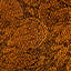 Rich Chocolate Brown
