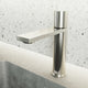Brushed Nickel single hole bathroom faucet with high arc spout and lever handle