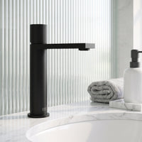 Elan Single Hole Bathroom Faucet