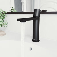 Elan Single Hole Bathroom Faucet
