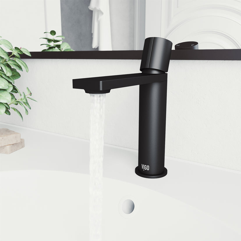 Elan Single Hole Bathroom Faucet