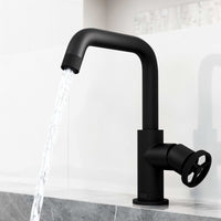Modern contemporary single hole faucet in matte black with sleek finish