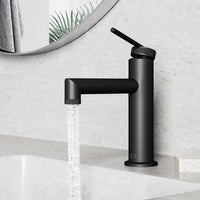 Sterling Single Hole Bathroom Faucet