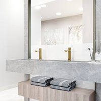 Hart Nova Single Hole Bathroom Faucet