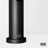 Matte black finish faucet with included supply lines and handles