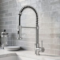 Edison Pull-Down Kitchen Spray Faucet