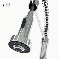 Edison Pull-Down Kitchen Spray Faucet