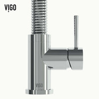 Edison Pull-Down Kitchen Spray Faucet