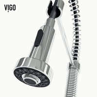 Edison Pull-Down Kitchen Spray Faucet