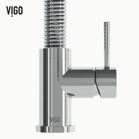 Edison Pull-Down Kitchen Spray Faucet