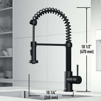 Edison Pull-Down Kitchen Spray Faucet