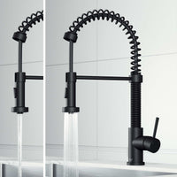 Edison Pull-Down Kitchen Spray Faucet