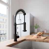Edison Pull-Down Kitchen Spray Faucet