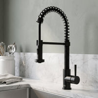 Edison Pull-Down Kitchen Spray Faucet