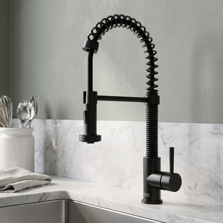 Edison Pull-Down Kitchen Spray Faucet