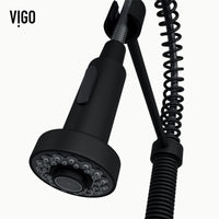 Edison Pull-Down Kitchen Spray Faucet
