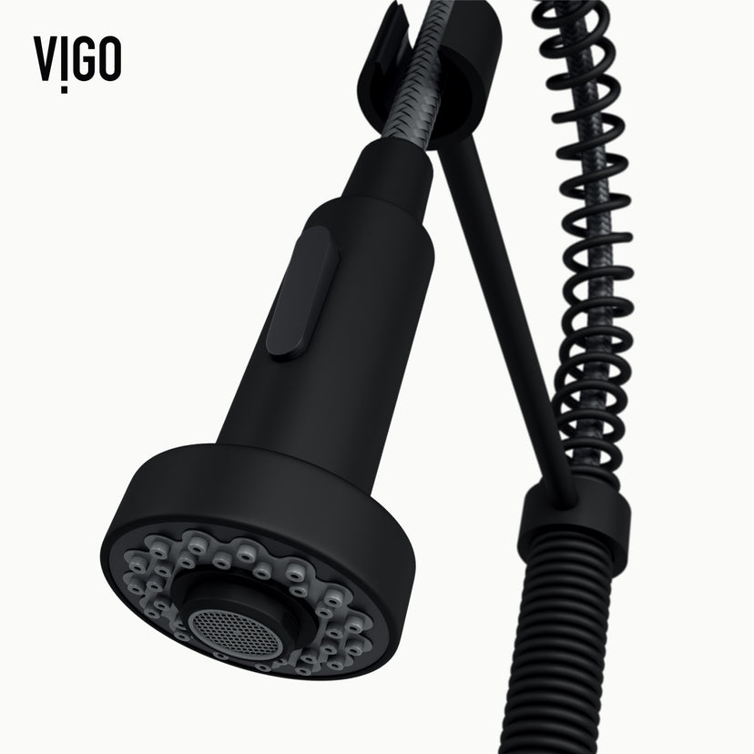Edison Pull-Down Kitchen Spray Faucet