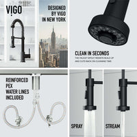 Edison Pull-Down Kitchen Spray Faucet