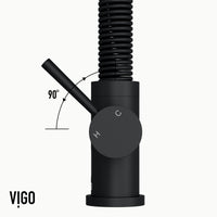 Edison Pull-Down Kitchen Spray Faucet
