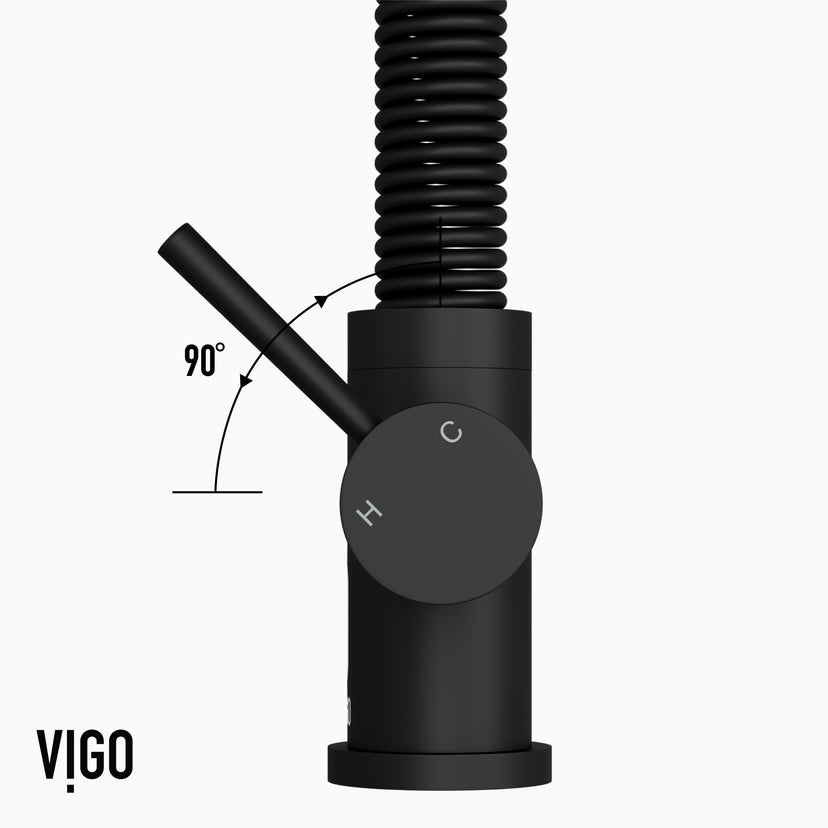 Edison Pull-Down Kitchen Spray Faucet