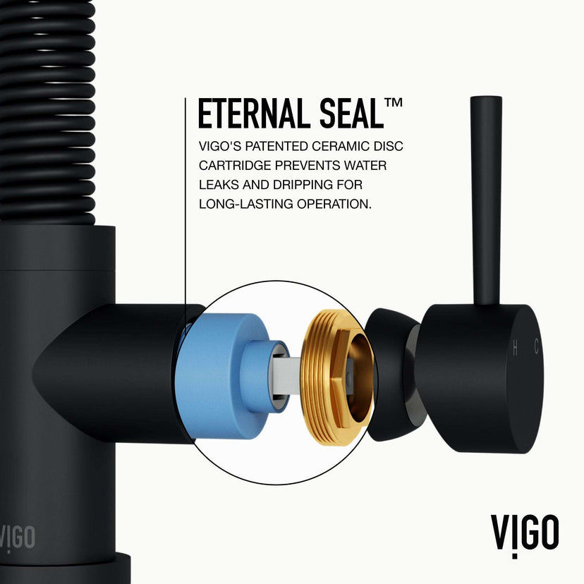 Edison Pull-Down Kitchen Spray Faucet