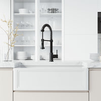 Edison Pull-Down Kitchen Spray Faucet