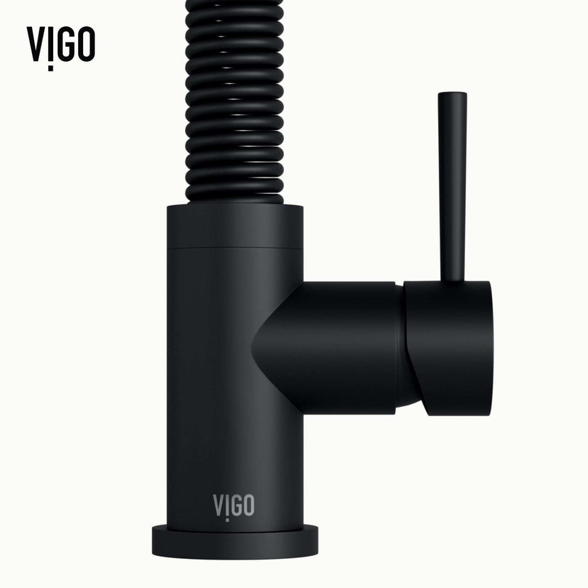 Edison Pull-Down Kitchen Spray Faucet