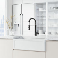 Edison Pull-Down Kitchen Spray Faucet