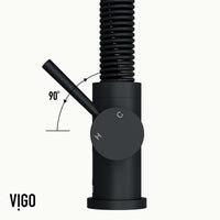 Edison Pull-Down Kitchen Spray Faucet
