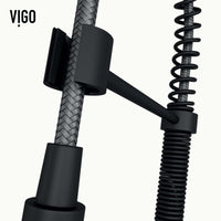 Edison Pull-Down Kitchen Spray Faucet