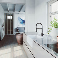 Edison Pull-Down Kitchen Spray Faucet