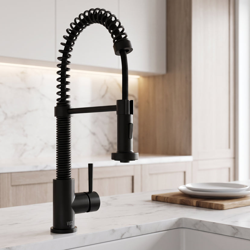 Edison Pull-Down Kitchen Spray Faucet