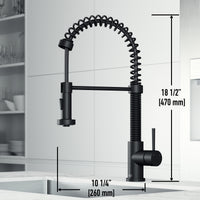 Edison Pull-Down Kitchen Spray Faucet