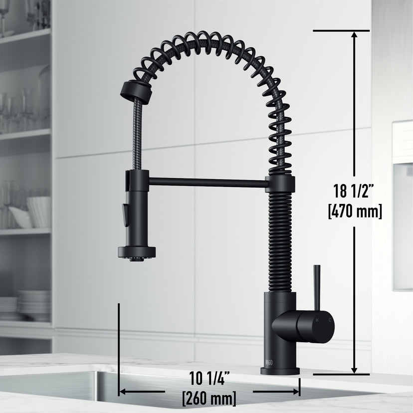 Edison Pull-Down Kitchen Spray Faucet