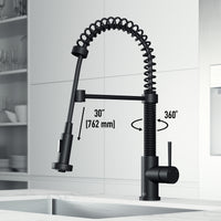 Edison Pull-Down Kitchen Spray Faucet