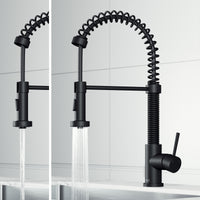 Edison Pull-Down Kitchen Spray Faucet