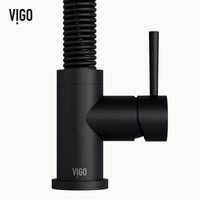 Edison Pull-Down Kitchen Spray Faucet