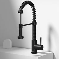 Edison Pull-Down Kitchen Spray Faucet