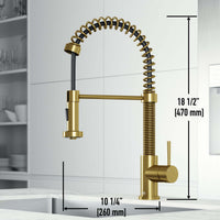 Edison Pull-Down Kitchen Spray Faucet