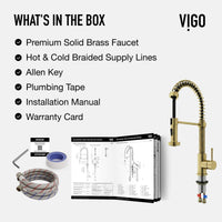 Edison Pull-Down Kitchen Spray Faucet