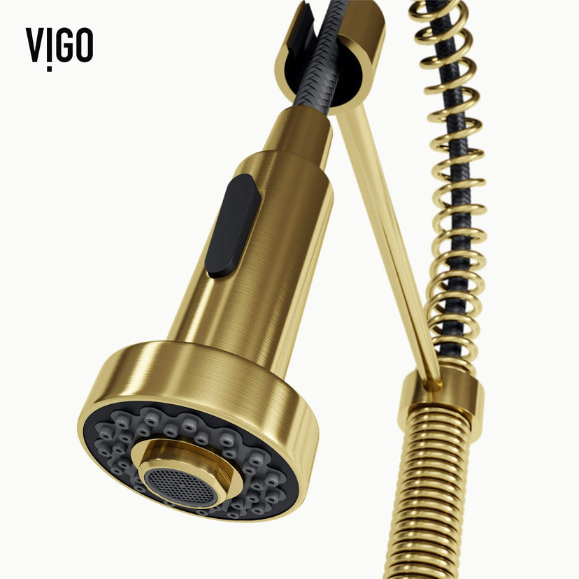 Edison Pull-Down Kitchen Spray Faucet