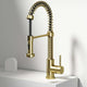 Edison Pull-Down Kitchen Spray Faucet