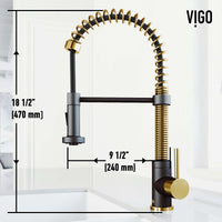 Edison Pull-Down Kitchen Spray Faucet