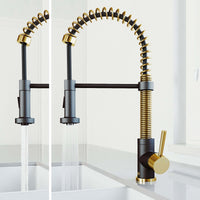 Edison Pull-Down Kitchen Spray Faucet