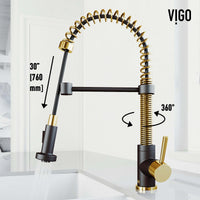 Edison Pull-Down Kitchen Spray Faucet