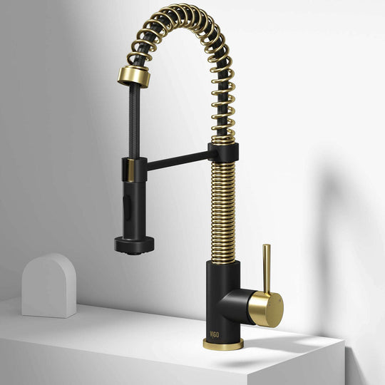 Edison Pull-Down Kitchen Spray Faucet