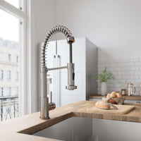 Edison Pull-Down Kitchen Spray Faucet
