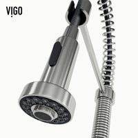 Edison Pull-Down Kitchen Spray Faucet